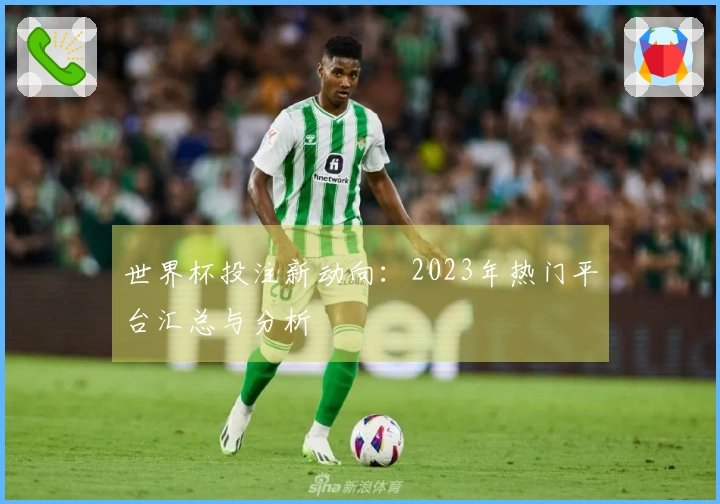 世界杯投注新动向：2023年热门平台汇总与分析