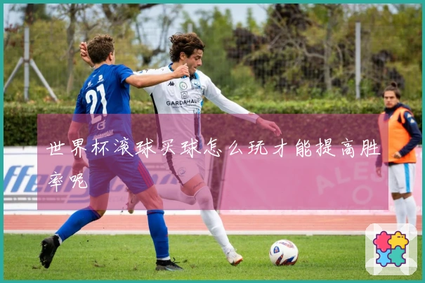 世界杯滚球买球怎么玩才能提高胜率呢