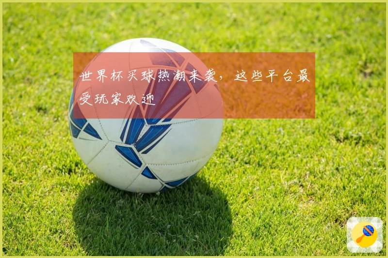 世界杯买球热潮来袭，这些平台最受玩家欢迎