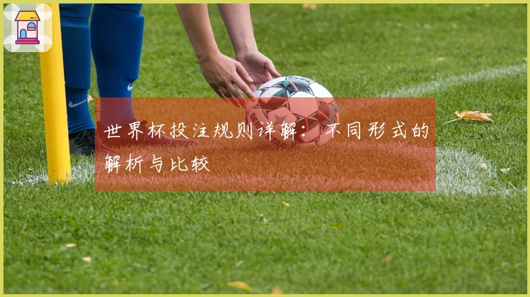世界杯投注规则详解：不同形式的解析与比较