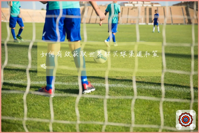 如何有效获取世界杯买球渠道和策略