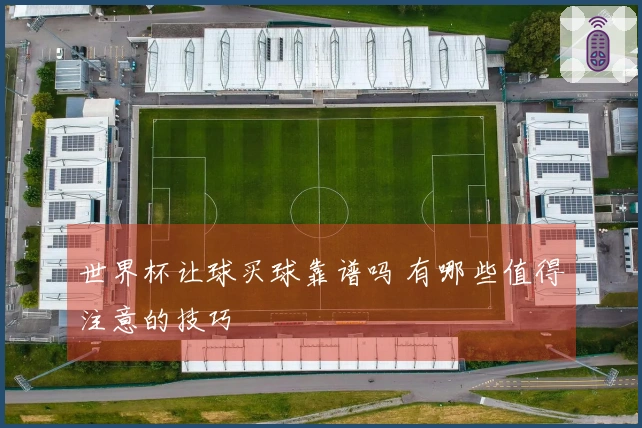 世界杯让球买球靠谱吗 有哪些值得注意的技巧