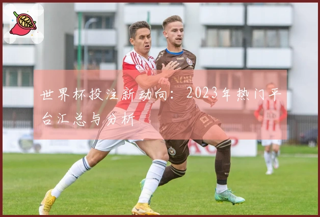世界杯投注新动向：2023年热门平台汇总与分析