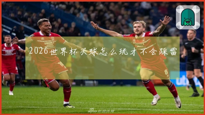 2026世界杯买球怎么玩才不会踩雷