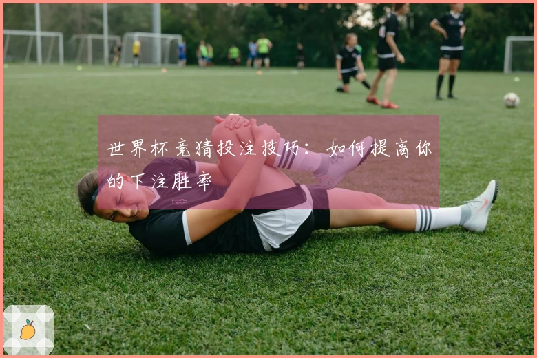 世界杯竞猜投注技巧：如何提高你的下注胜率