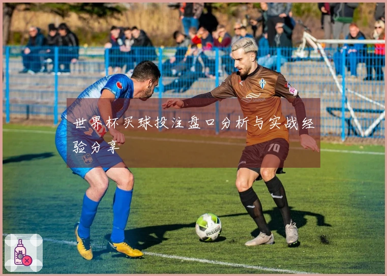 世界杯买球投注盘口分析与实战经验分享
