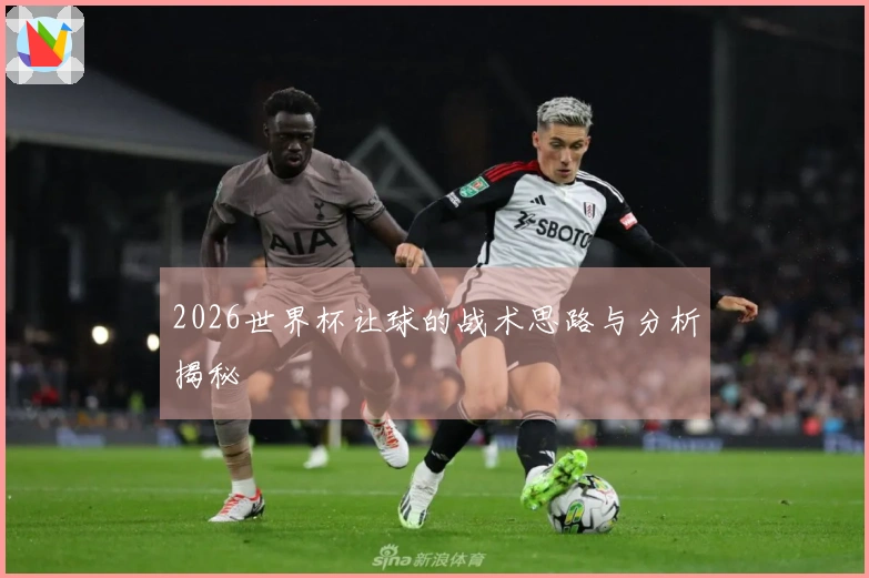 2026世界杯让球的战术思路与分析揭秘