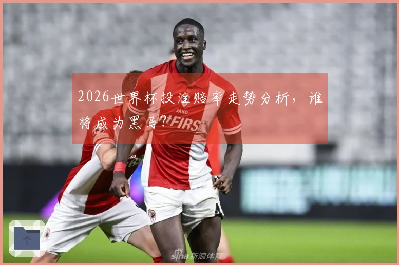 2026世界杯投注赔率走势分析，谁将成为黑马？