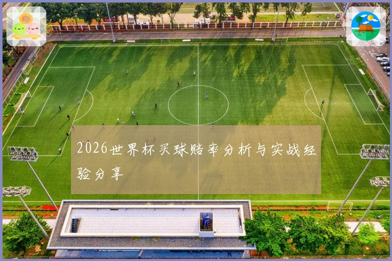 2026世界杯买球赔率分析与实战经验分享