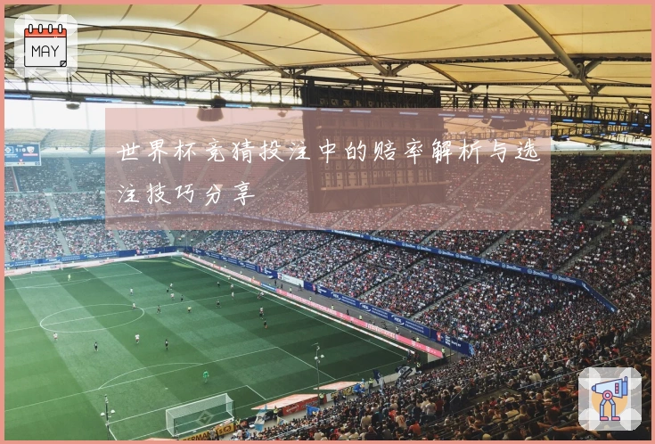 世界杯竞猜投注中的赔率解析与选注技巧分享