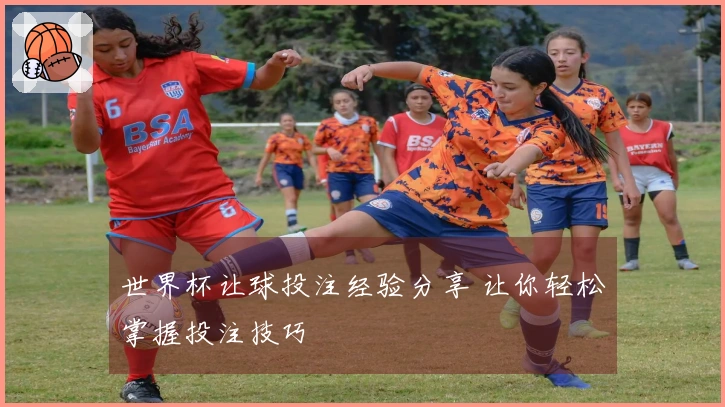世界杯让球投注经验分享 让你轻松掌握投注技巧