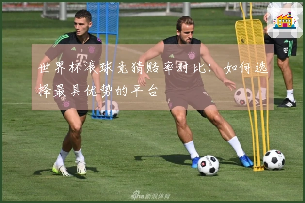 世界杯滚球竞猜赔率对比：如何选择最具优势的平台